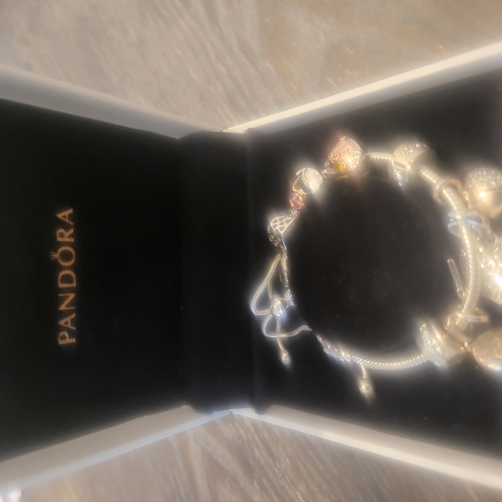 Pandora Silver Charm Necklace And Bracelet Set